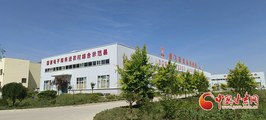 香約慶陽 包容天下丨環縣 以“六統一”模式助推電商發展提檔升級，助力飼料添加劑產業新跨越