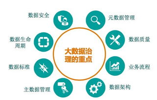 沼澤里的掘金術(shù) 大數(shù)據(jù)時(shí)代的數(shù)據(jù)資產(chǎn)管理五星模型與數(shù)據(jù)處理服務(wù)
