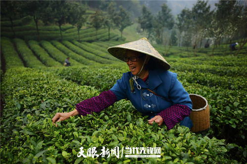 貴州綠色農(nóng)產(chǎn)品打出 金招牌